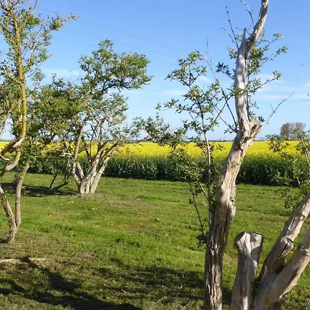 Gut-rattelvitz-galerie-e-hochwertig-sauna-kamin-etankstelle-spielscheune-15-000qm-park-land Apartament Gingst