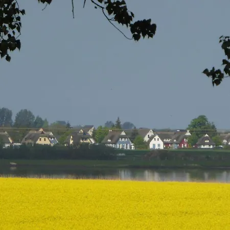 Apartament Gut-rattelvitz-galerie-e-hochwertig-sauna-kamin-etankstelle-spielscheune-15-000qm-park-land *