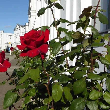 Apartament Gut-rattelvitz-galerie-e-hochwertig-sauna-kamin-etankstelle-spielscheune-15-000qm-park-land *