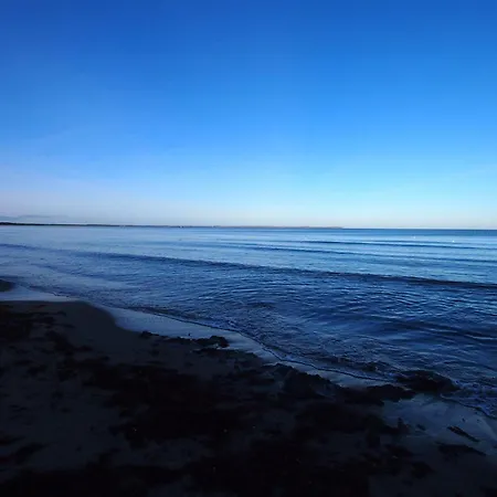 Gut-rattelvitz-galerie-e-hochwertig-sauna-kamin-etankstelle-spielscheune-15-000qm-park-land * Gingst