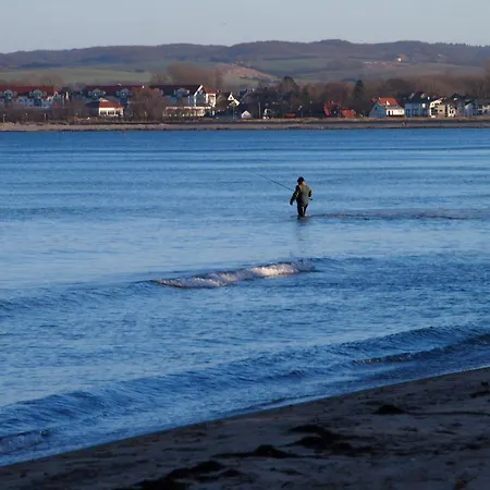Gut-rattelvitz-galerie-e-hochwertig-sauna-kamin-etankstelle-spielscheune-15-000qm-park-land Apartament Gingst