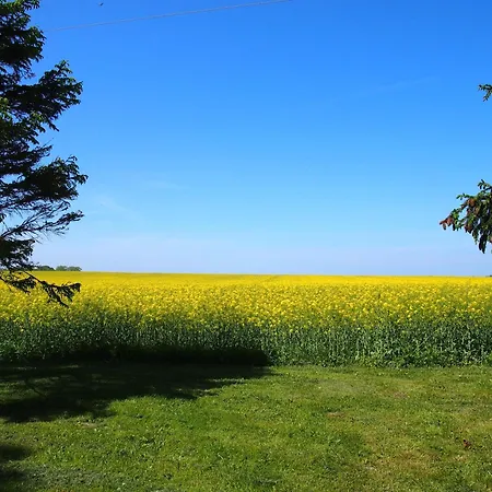 Gut-rattelvitz-galerie-e-hochwertig-sauna-kamin-etankstelle-spielscheune-15-000qm-park-land * Gingst