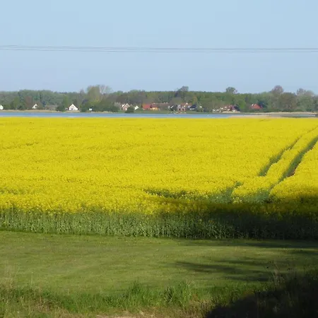 Gut-rattelvitz-galerie-e-hochwertig-sauna-kamin-etankstelle-spielscheune-15-000qm-park-land * Gingst