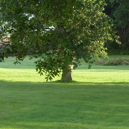 Gut-rattelvitz-galerie-e-hochwertig-sauna-kamin-etankstelle-spielscheune-15-000qm-park-land * Gingst