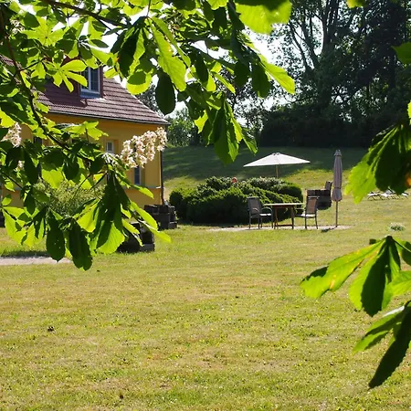 Gut-rattelvitz-galerie-e-hochwertig-sauna-kamin-etankstelle-spielscheune-15-000qm-park-land * Gingst
