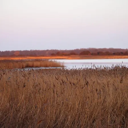 Gut Rattelvitz Galerie E, Hochwertig, Sauna, Kamin, Etankstelle, Spielscheune, 15.000qm Park Land Gingst