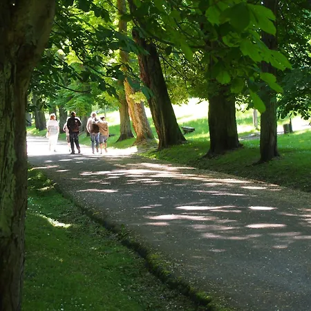 Gut Rattelvitz Galerie E, Hochwertig, Sauna, Kamin, Etankstelle, Spielscheune, 15.000qm Park Land * Gingst