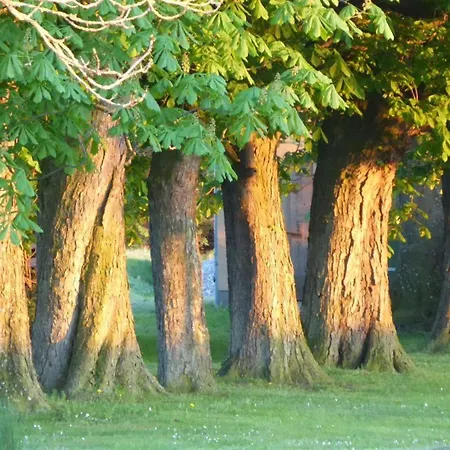 Apartment Gut Rattelvitz Galerie E, Hochwertig, Sauna, Kamin, Etankstelle, Spielscheune, 15.000qm Park Land *
