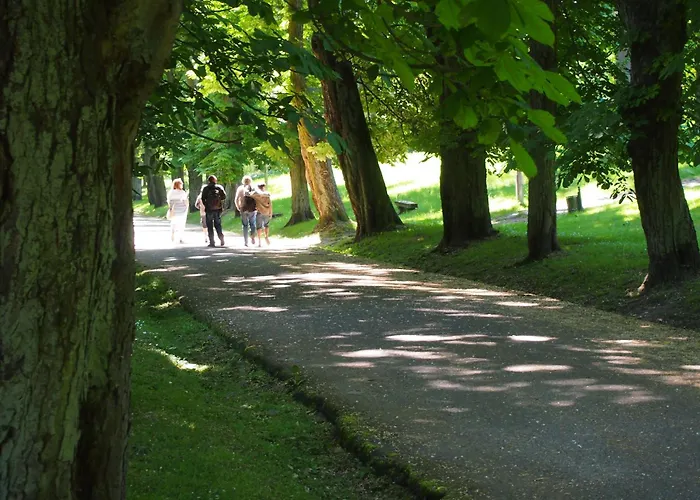 Gut-rattelvitz-galerie-e-hochwertig-sauna-kamin-etankstelle-spielscheune-15-000qm-park-land * Gingst