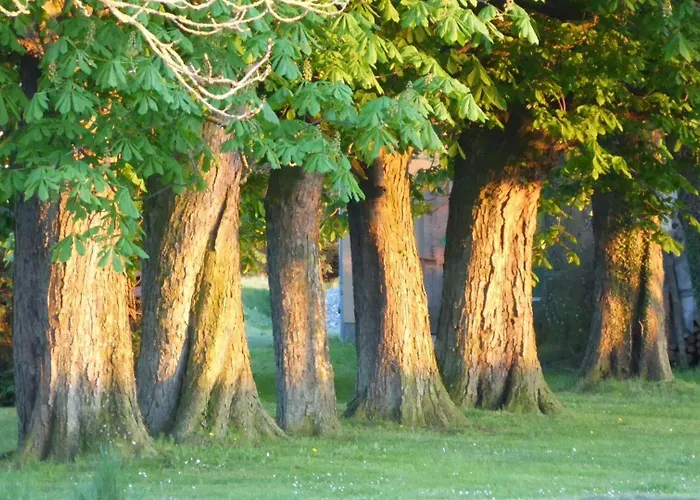 Appartamento Gut-rattelvitz-galerie-e-hochwertig-sauna-kamin-etankstelle-spielscheune-15-000qm-park-land *